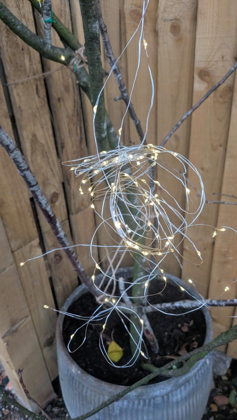 How to build a seasonal arch from twigs round a gate - Autumn or Christmas