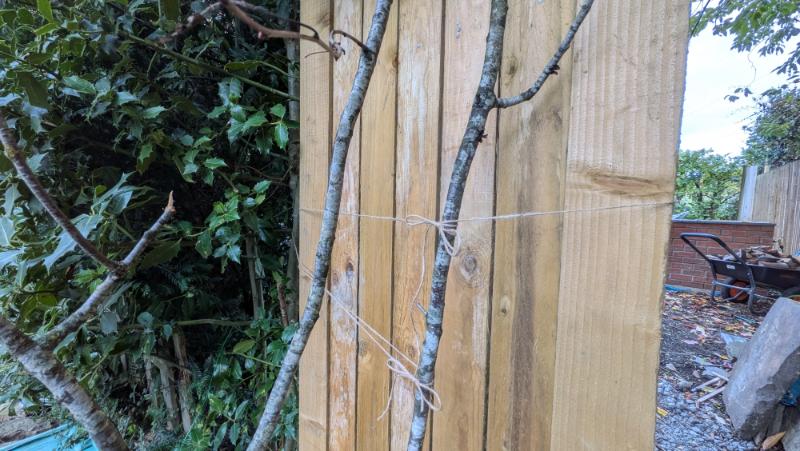How to build a seasonal arch from twigs round a gate - Autumn or Christmas
